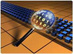 traffic Network traffic generated by the discovery